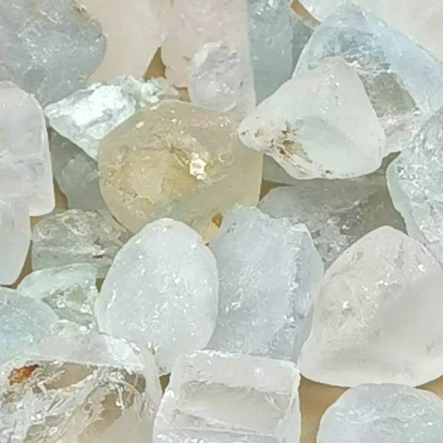 Agate-arborisee-arbre